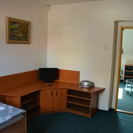 Guest house Nerudova Six *